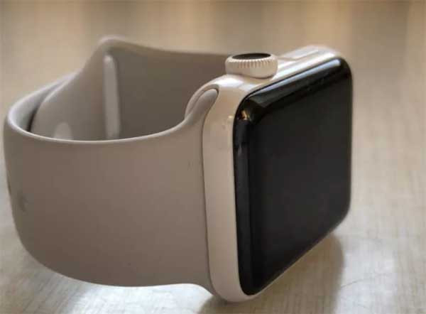 Умные часы Apple Watch Series 5 не получат значительных изменений